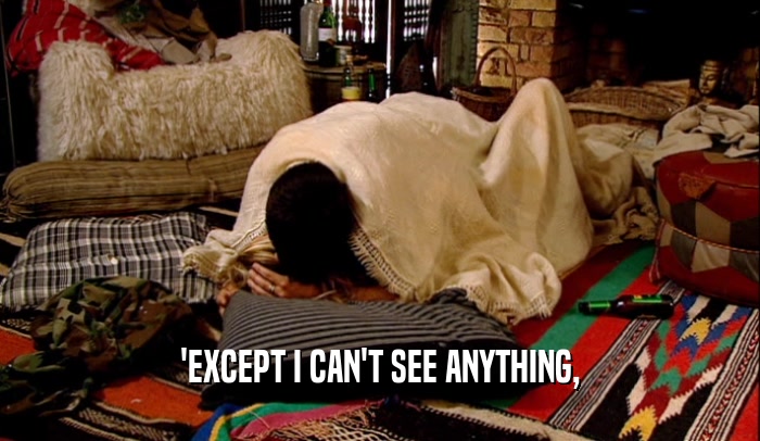 'EXCEPT I CAN'T SEE ANYTHING,  