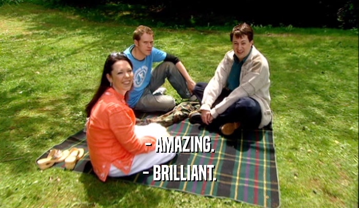 - AMAZING. - BRILLIANT. 