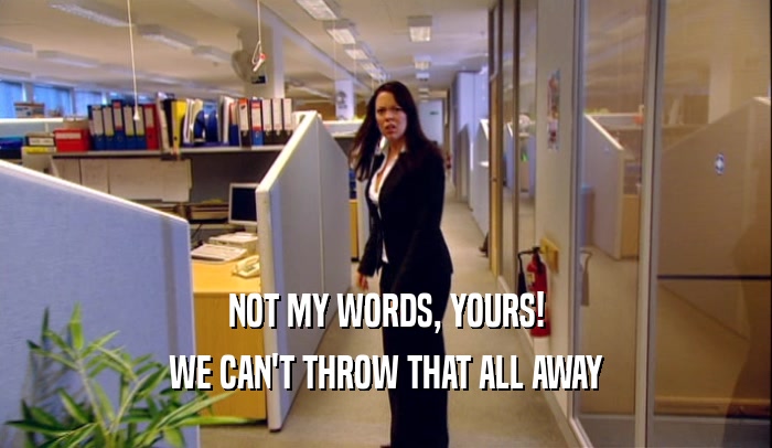 NOT MY WORDS, YOURS! WE CAN'T THROW THAT ALL AWAY 