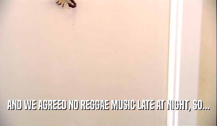 AND WE AGREED NO REGGAE MUSIC LATE AT NIGHT, SO...  