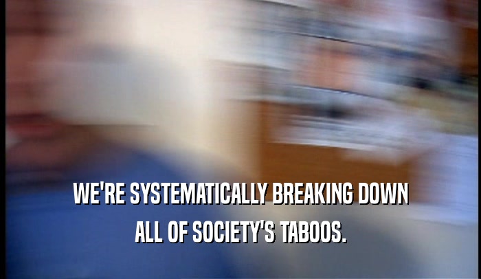 WE'RE SYSTEMATICALLY BREAKING DOWN ALL OF SOCIETY'S TABOOS. 