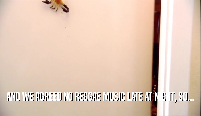 AND WE AGREED NO REGGAE MUSIC LATE AT NIGHT, SO...  