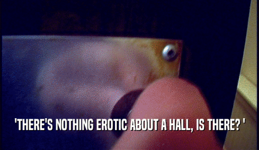 'THERE'S NOTHING EROTIC ABOUT A HALL, IS THERE? '  