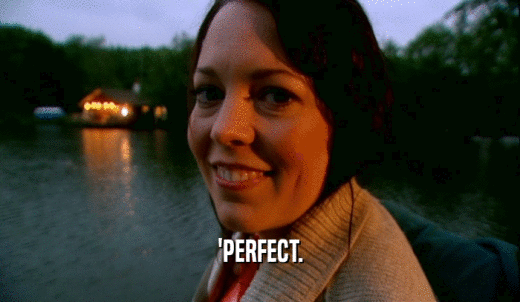 'PERFECT.  