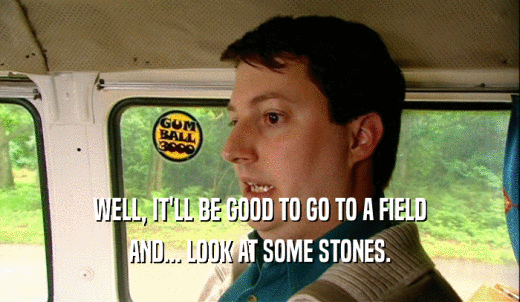WELL, IT'LL BE GOOD TO GO TO A FIELD AND... LOOK AT SOME STONES. 