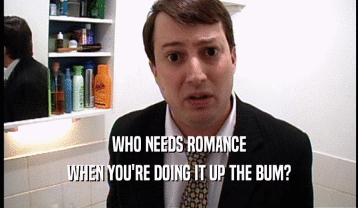WHO NEEDS ROMANCE WHEN YOU'RE DOING IT UP THE BUM? 