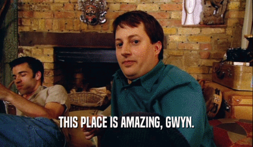 THIS PLACE IS AMAZING, GWYN.  
