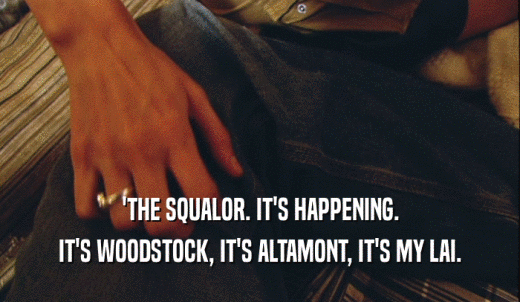 'THE SQUALOR. IT'S HAPPENING. IT'S WOODSTOCK, IT'S ALTAMONT, IT'S MY LAI. 