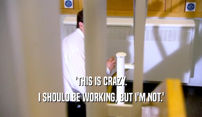 'THIS IS CRAZY. I SHOULD BE WORKING, BUT I'M NOT.' 