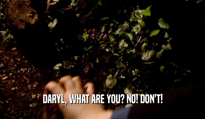 DARYL, WHAT ARE YOU? NO! DON'T!  