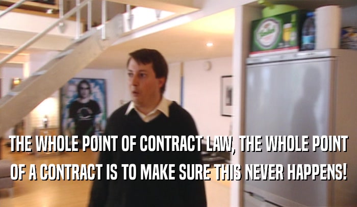 THE WHOLE POINT OF CONTRACT LAW, THE WHOLE POINT OF A CONTRACT IS TO MAKE SURE THIS NEVER HAPPENS! 