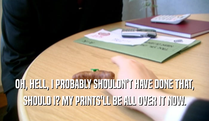OH, HELL, I PROBABLY SHOULDN'T HAVE DONE THAT, SHOULD I? MY PRINTS'LL BE ALL OVER IT NOW. 