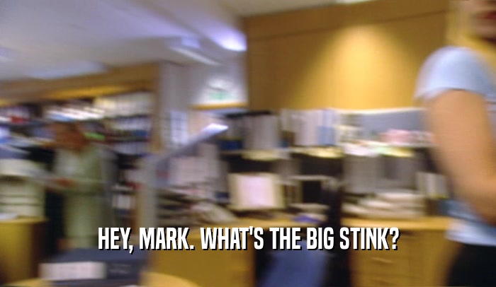 HEY, MARK. WHAT'S THE BIG STINK?  