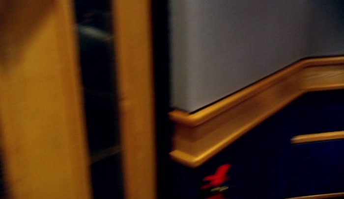 'I'M SAFE. IN MY CUBICLE, I'M SAFE.'  
