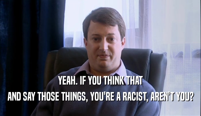 YEAH. IF YOU THINK THAT AND SAY THOSE THINGS, YOU'RE A RACIST, AREN'T YOU? 