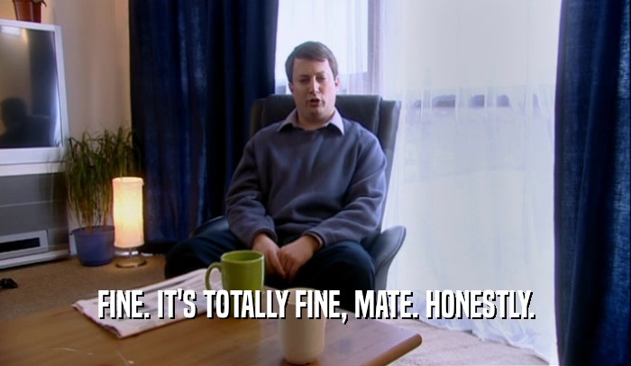 FINE. IT'S TOTALLY FINE, MATE. HONESTLY.  