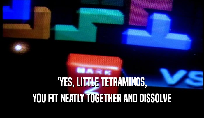 'YES, LITTLE TETRAMINOS, YOU FIT NEATLY TOGETHER AND DISSOLVE 