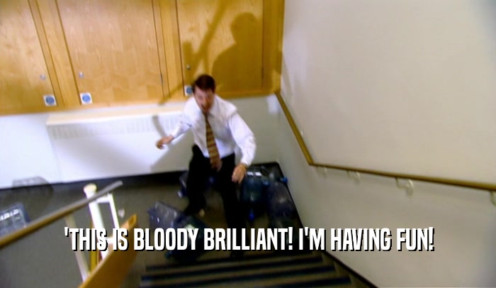 'THIS IS BLOODY BRILLIANT! I'M HAVING FUN!  