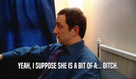 YEAH, I SUPPOSE SHE IS A BIT OF A... BITCH.  