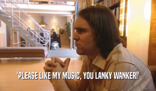 'PLEASE LIKE MY MUSIC, YOU LANKY WANKER!'  