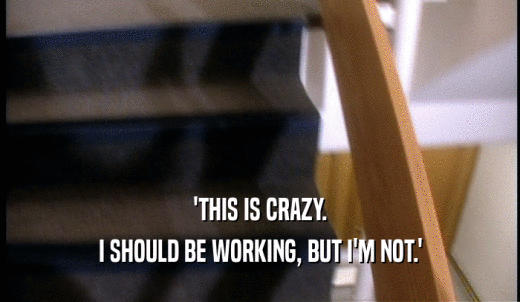 'THIS IS CRAZY. I SHOULD BE WORKING, BUT I'M NOT.' 