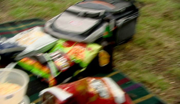 AND IF ANYONE ASKS, WE'RE JUST HAVING A LOVELY INNOCENT PICNIC! 
