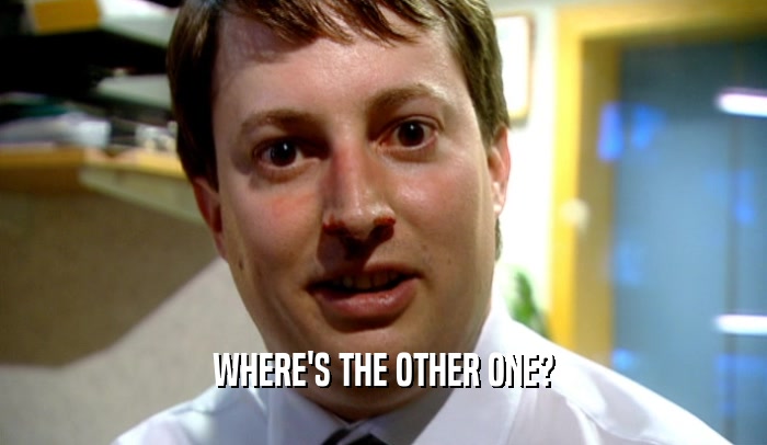 WHERE'S THE OTHER ONE?  