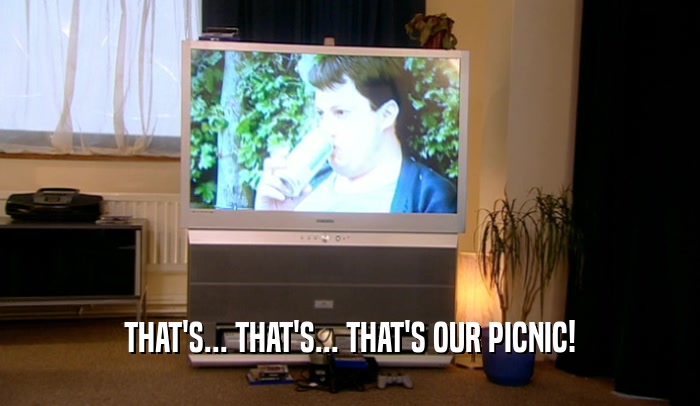 THAT'S... THAT'S... THAT'S OUR PICNIC!  