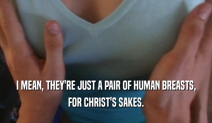I MEAN, THEY'RE JUST A PAIR OF HUMAN BREASTS, FOR CHRIST'S SAKES. 