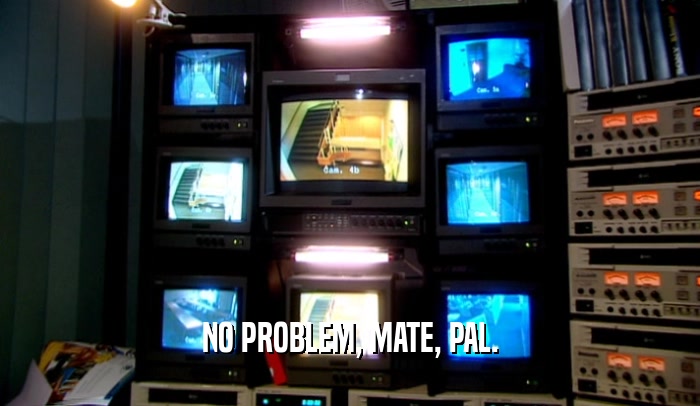 NO PROBLEM, MATE, PAL.
  