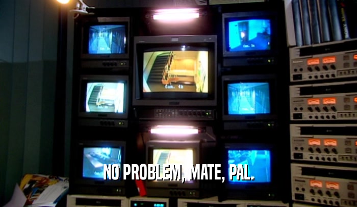 NO PROBLEM, MATE, PAL.  