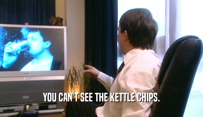 YOU CAN'T SEE THE KETTLE CHIPS.  