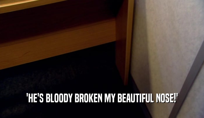 'HE'S BLOODY BROKEN MY BEAUTIFUL NOSE!'  