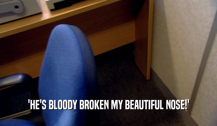'HE'S BLOODY BROKEN MY BEAUTIFUL NOSE!'  