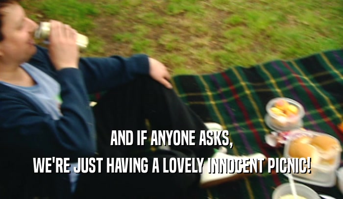 AND IF ANYONE ASKS, WE'RE JUST HAVING A LOVELY INNOCENT PICNIC! 