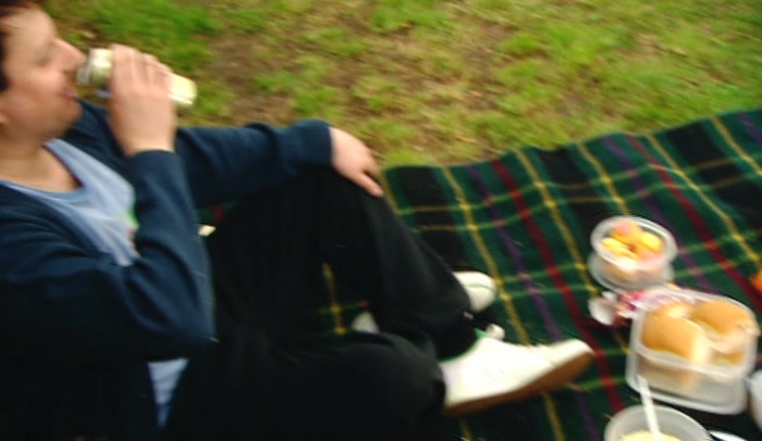 AND IF ANYONE ASKS, WE'RE JUST HAVING A LOVELY INNOCENT PICNIC! 