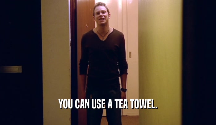 YOU CAN USE A TEA TOWEL.  