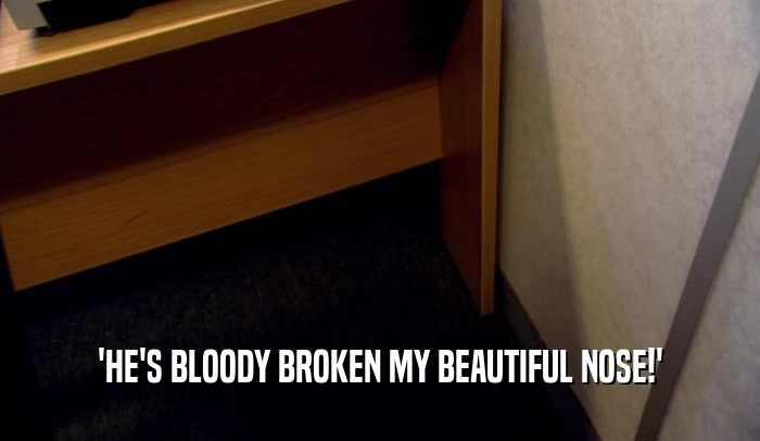 'HE'S BLOODY BROKEN MY BEAUTIFUL NOSE!'  