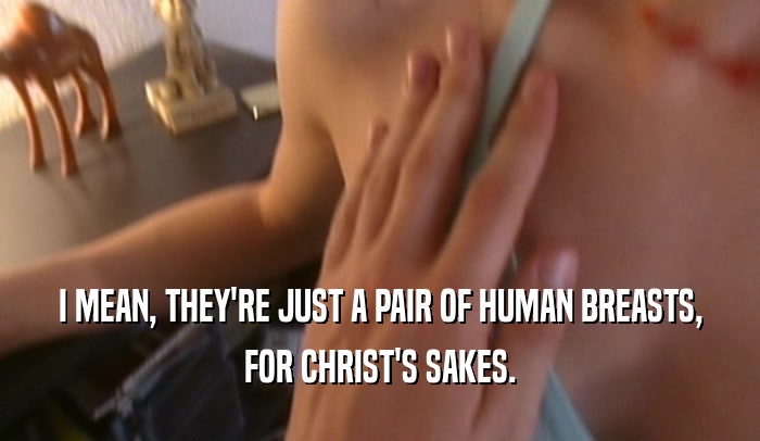 I MEAN, THEY'RE JUST A PAIR OF HUMAN BREASTS, FOR CHRIST'S SAKES. 