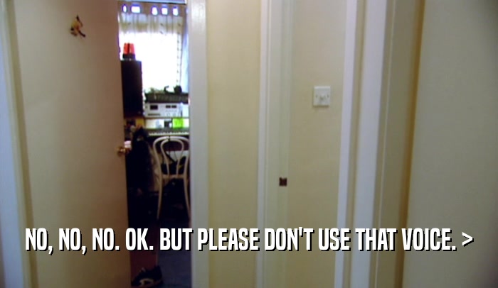 NO, NO, NO. OK. BUT PLEASE DON'T USE THAT VOICE. >  