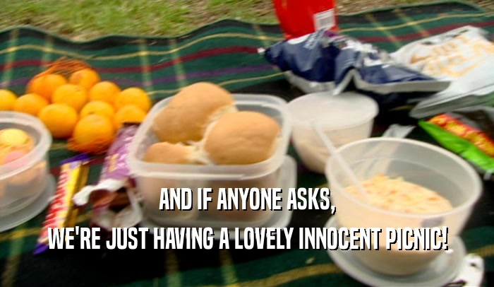 AND IF ANYONE ASKS, WE'RE JUST HAVING A LOVELY INNOCENT PICNIC! 