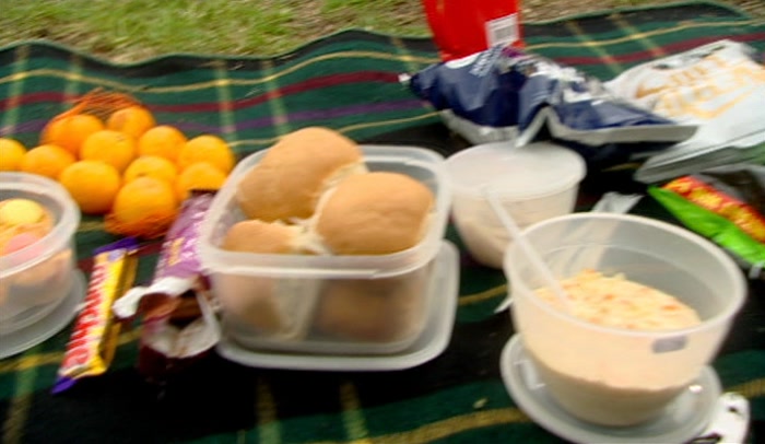 AND IF ANYONE ASKS, WE'RE JUST HAVING A LOVELY INNOCENT PICNIC! 