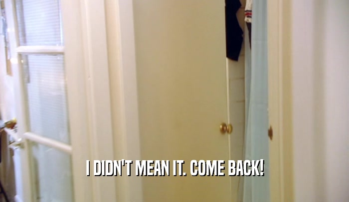 I DIDN'T MEAN IT. COME BACK!  