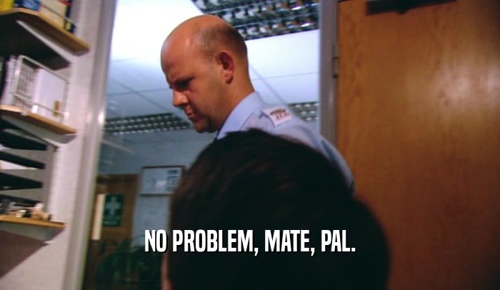 NO PROBLEM, MATE, PAL.
  