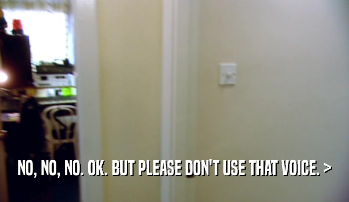 NO, NO, NO. OK. BUT PLEASE DON'T USE THAT VOICE. >  