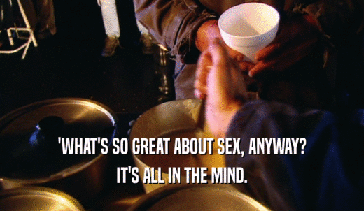'WHAT'S SO GREAT ABOUT SEX, ANYWAY? IT'S ALL IN THE MIND. 