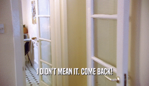 I DIDN'T MEAN IT. COME BACK!  
