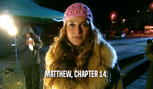 MATTHEW, CHAPTER 14.  