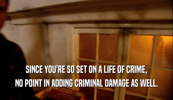 SINCE YOU'RE SO SET ON A LIFE OF CRIME, NO POINT IN ADDING CRIMINAL DAMAGE AS WELL. 