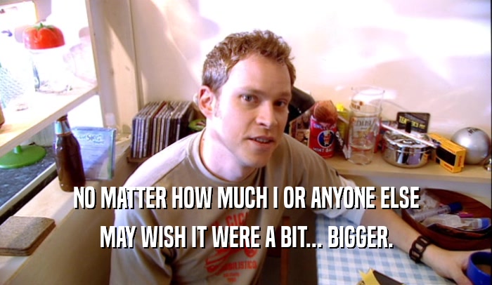 NO MATTER HOW MUCH I OR ANYONE ELSE MAY WISH IT WERE A BIT... BIGGER. 